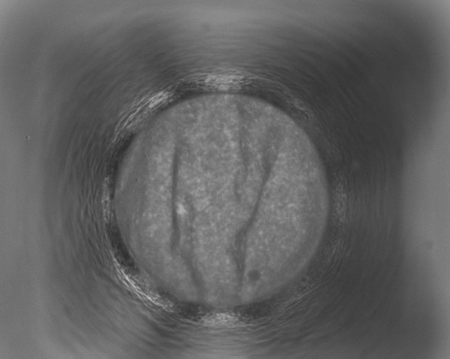 X0000085000594200704021336