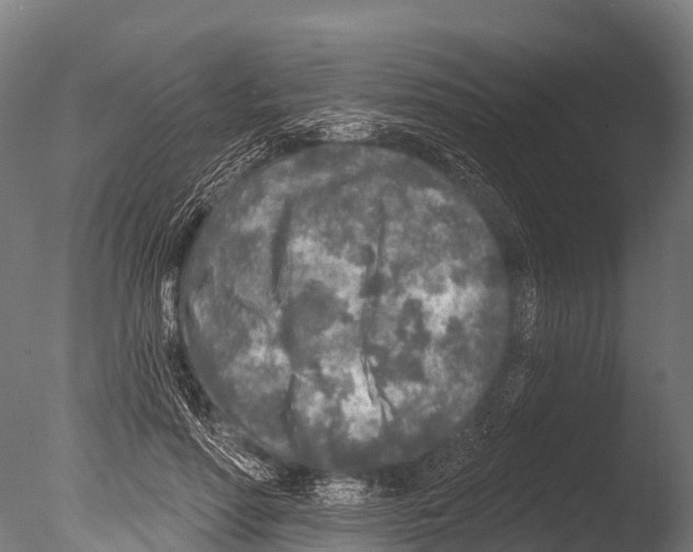 X0000085000598200704021336