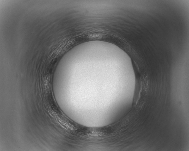 X0000085000601200704021336