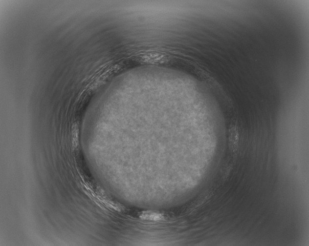 X0000085000602200704021336