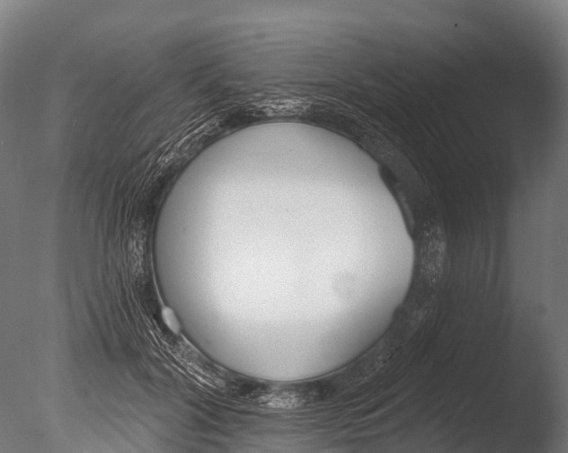 X0000085000604200704021335