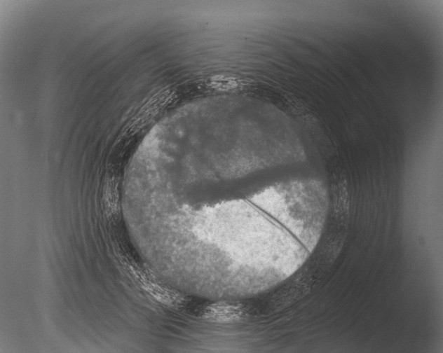 X0000085000606200704021335