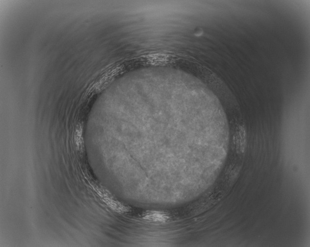 X0000085000610200704021335