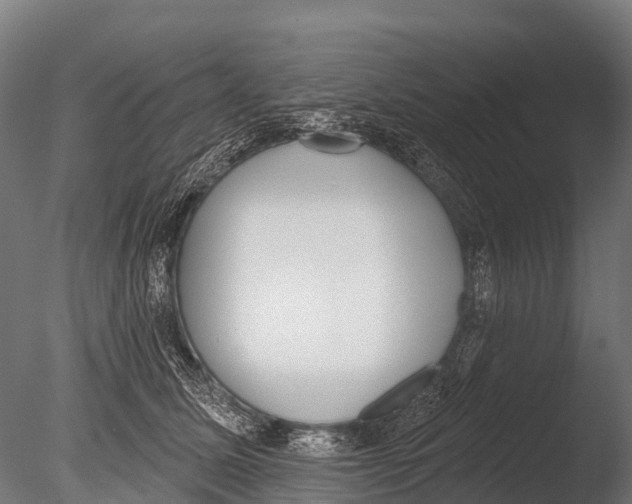 X0000085000611200704021335