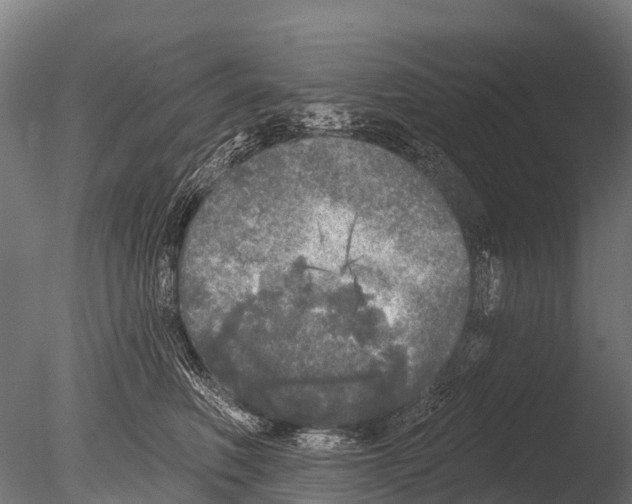 X0000085000614200704021335