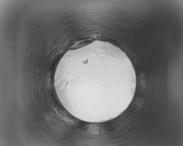 X0000085000615200704021335