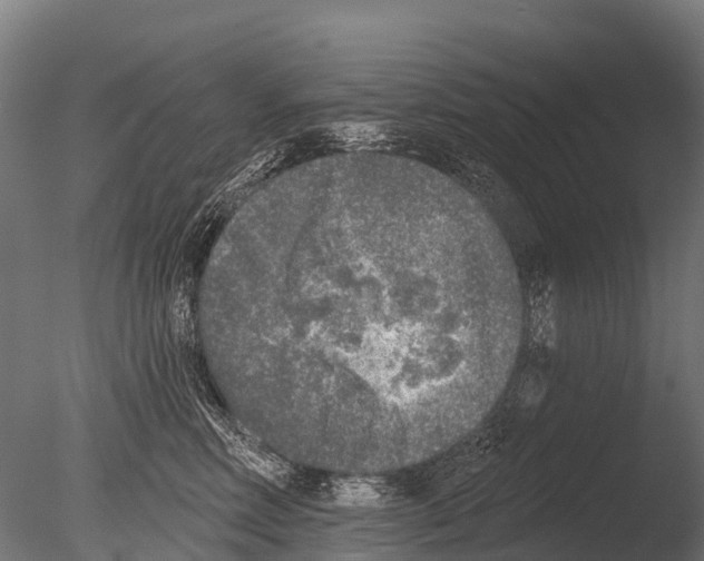 X0000085000618200704021335