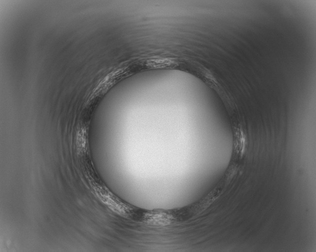 X0000085000621200704021335