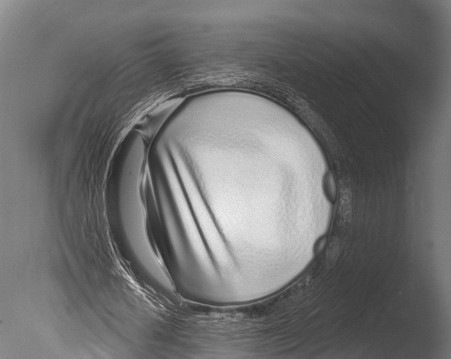 X0000085000626200704021334