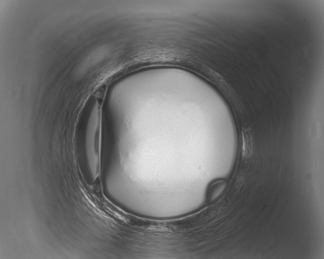 X0000085000627200704021334