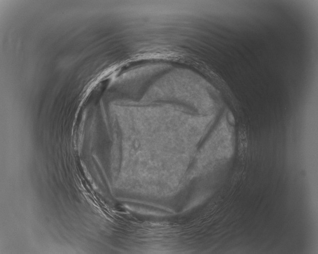 X0000085000628200704021334