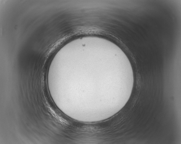 X0000085000629200704021334