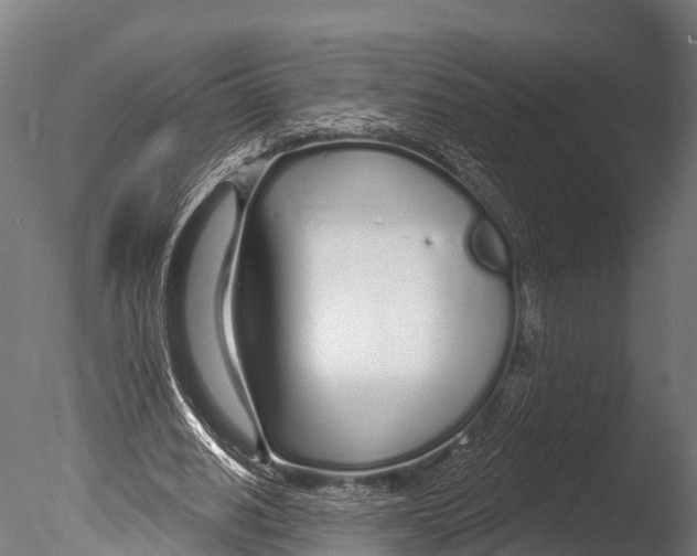 X0000085000630200704021334