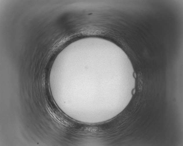 X0000085000631200704021334