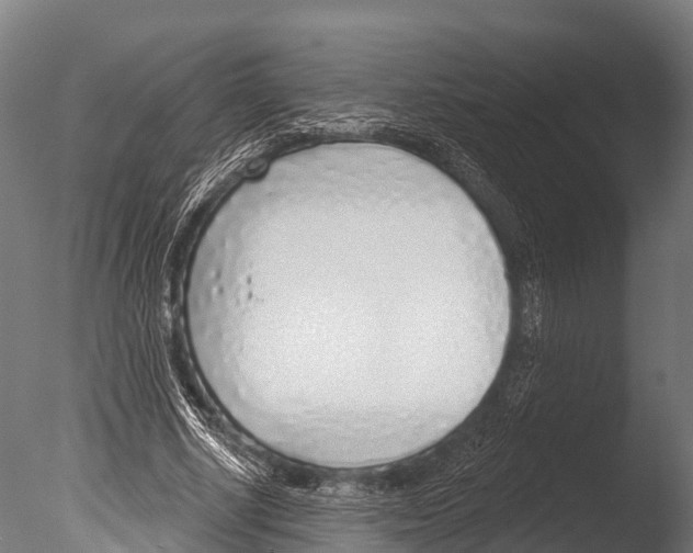 X0000085000634200704021334