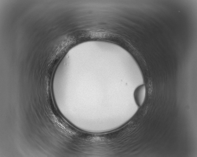 X0000085000637200704021335