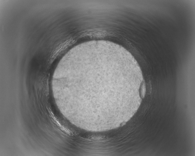 X0000085000638200704021335