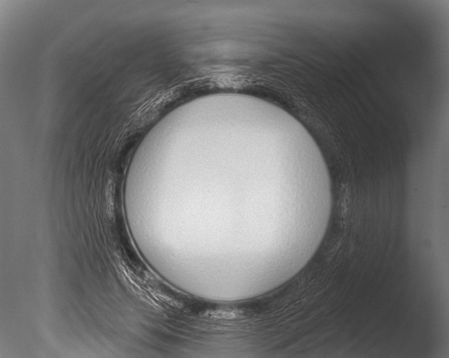 X0000085000639200704021335