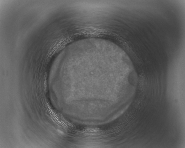 X0000085000642200704021335