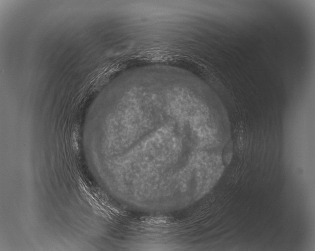 X0000085000643200704021335