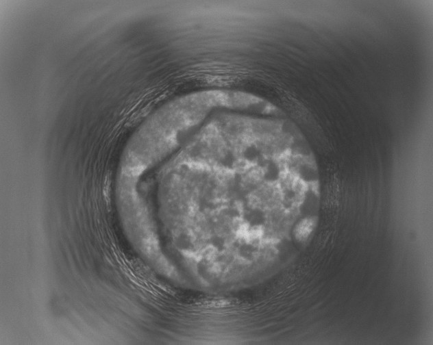 X0000085000646200704021335