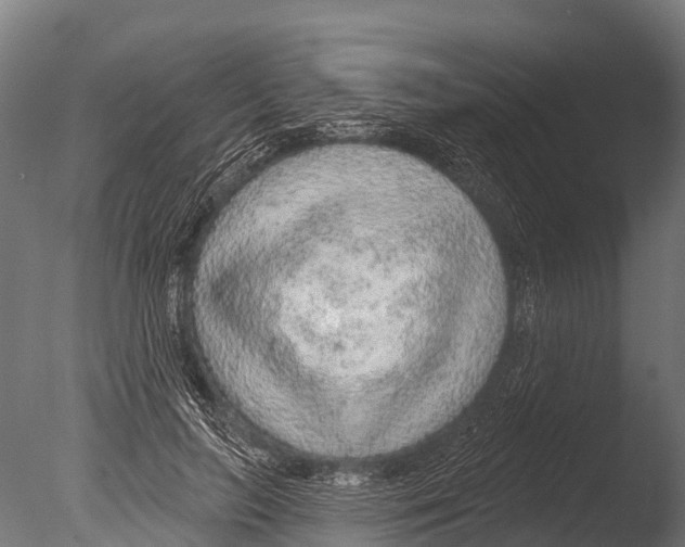 X0000085000647200704021335