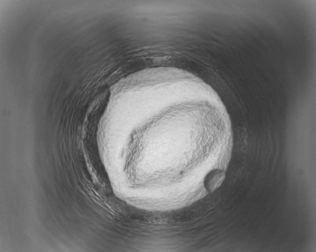 X0000085000650200704021335