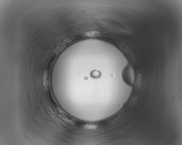 X0000085000651200704021335