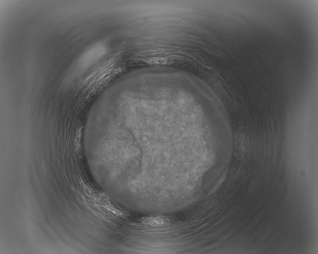 X0000085000652200704021335