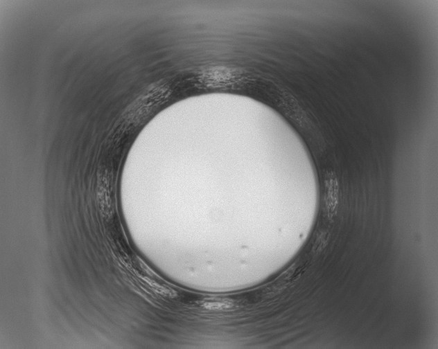 X0000085000653200704021335