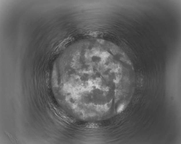 X0000085000656200704021335