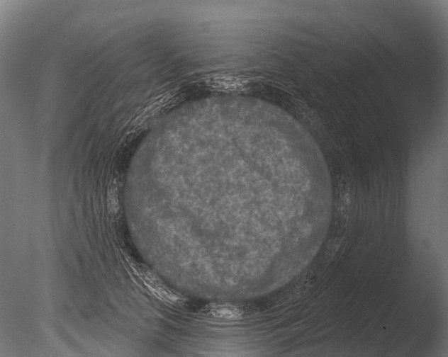 X0000085000658200704021335