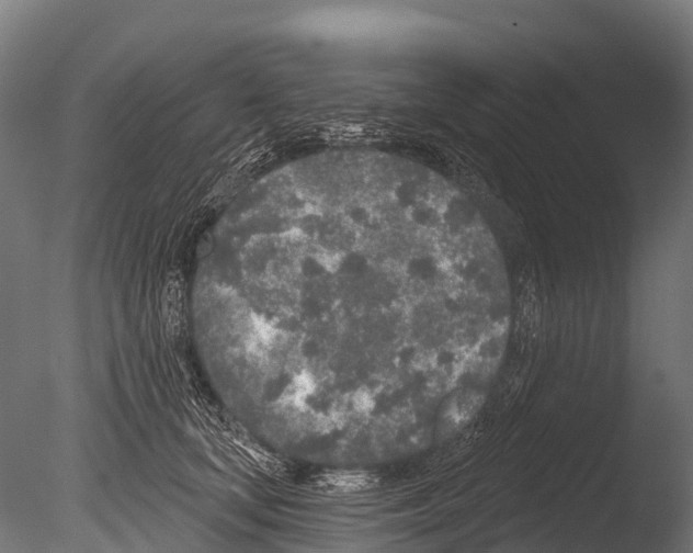 X0000085000659200704021335