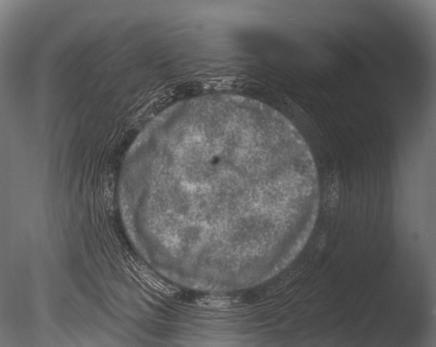 X0000085000661200704021335