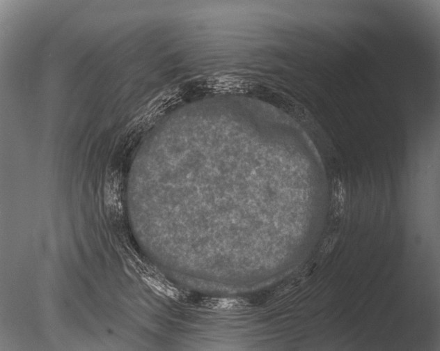 X0000085000663200704021335