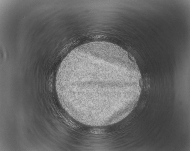 X0000085000664200704021335