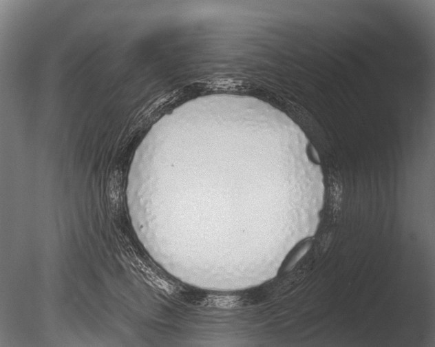 X0000085000665200704021335