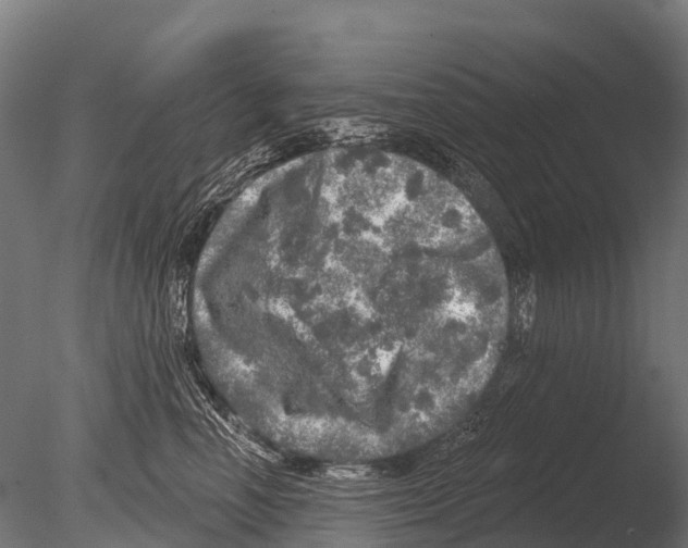 X0000085000666200704021335