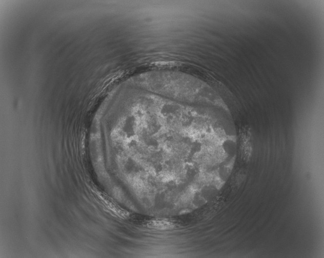 X0000085000668200704021335