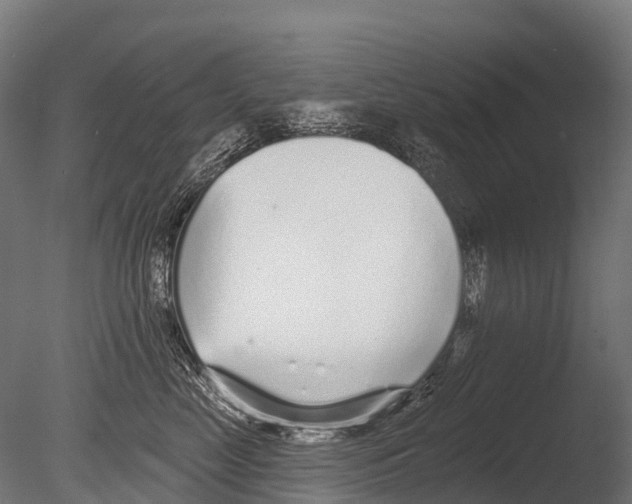 X0000085000669200704021335