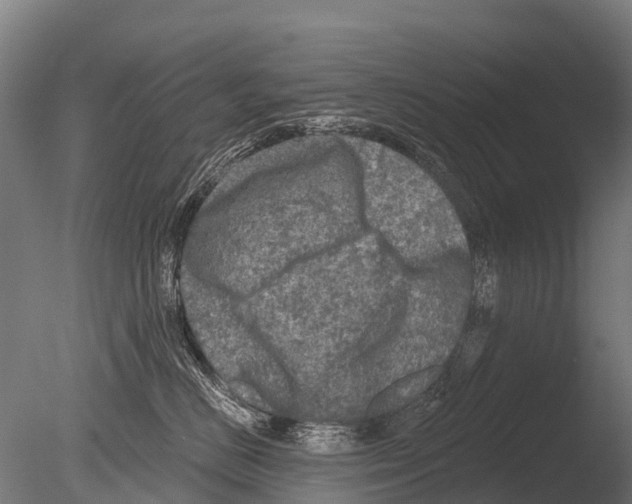 X0000085000670200704021335