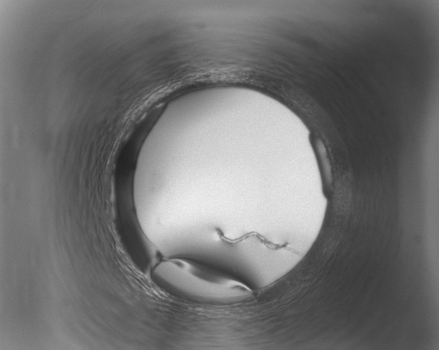 X0000085000673200704021334