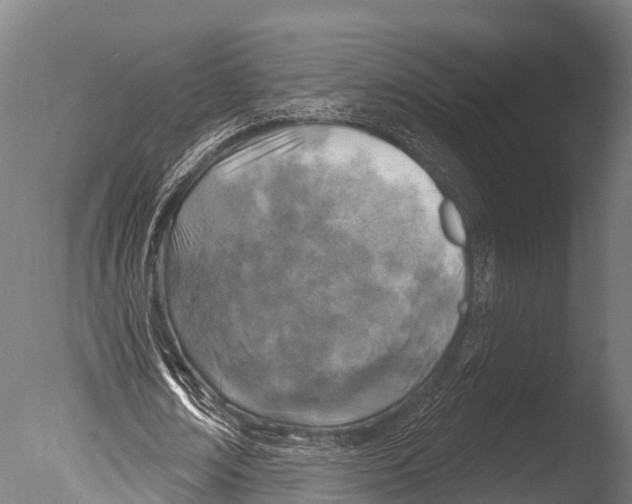 X0000085000674200704021334