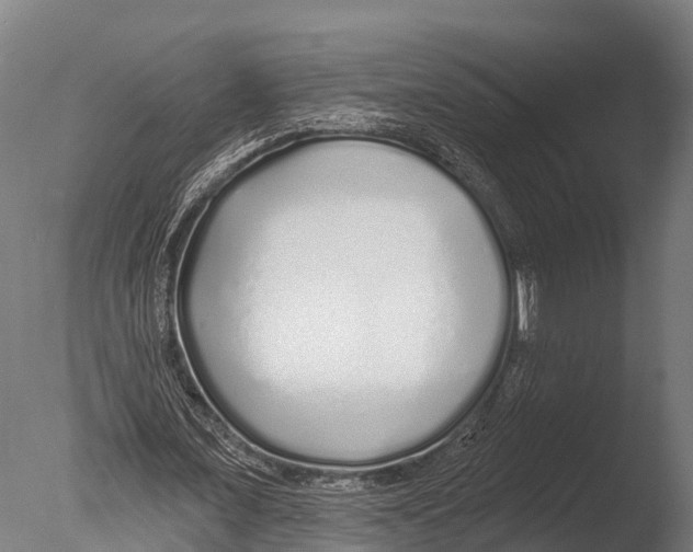 X0000085000675200704021334