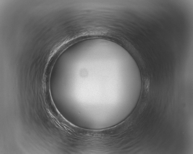 X0000085000676200704021334