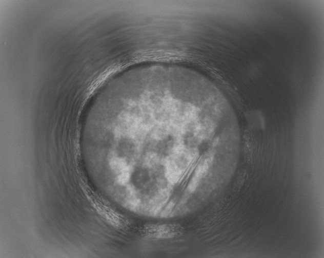 X0000085000679200704021334