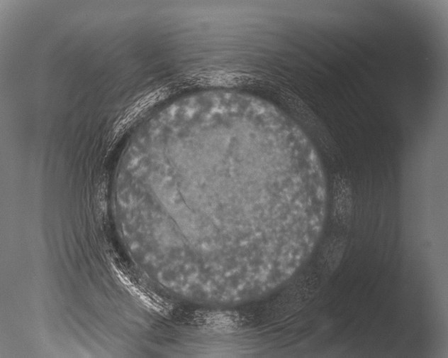 X0000085000683200704021334