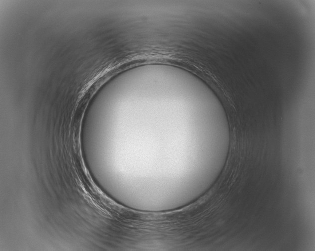 X0000085000684200704021334