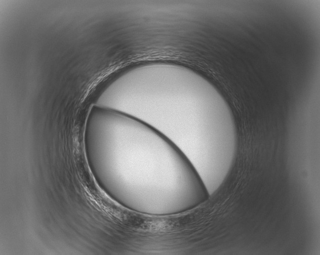 X0000085000688200704021334