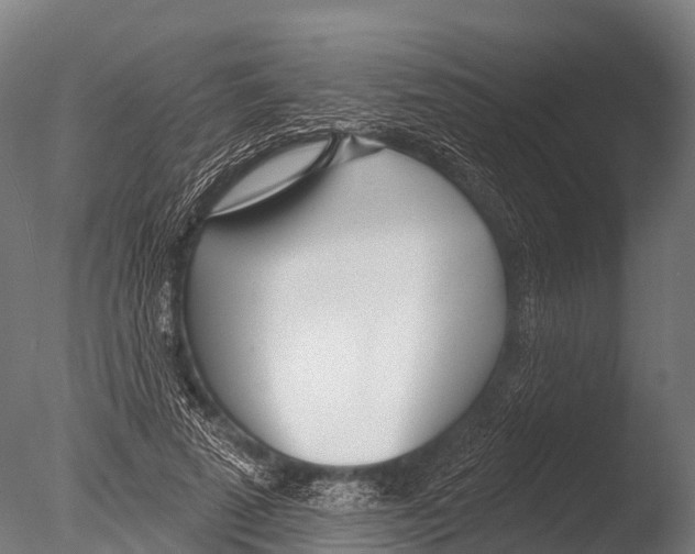 X0000085000689200704021334